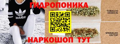 стаф Пугачёв
