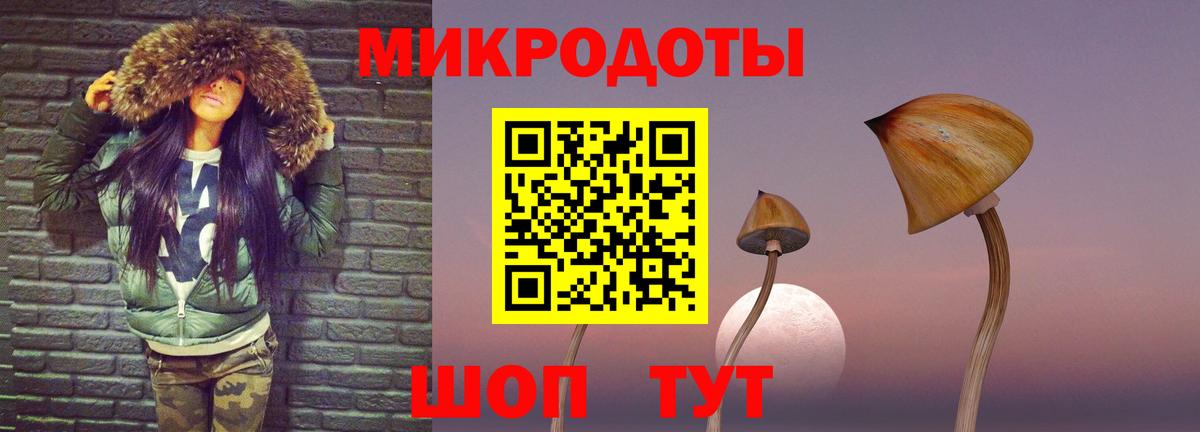Галлюциногенные грибы Cubensis  Вход с VPN  Саяногорск 